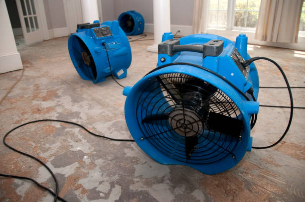 Best Professional water damage repair  in Seaside, CA